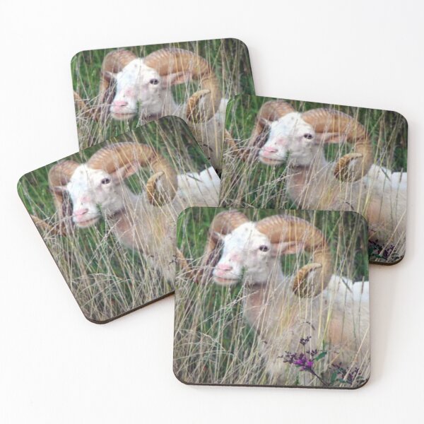 Artikelvorschau, Tierfarm Leben Kunst Fotografie Ziege Ram in Feldwiese Landtiere entworfen und verkauft von tamdevo1.