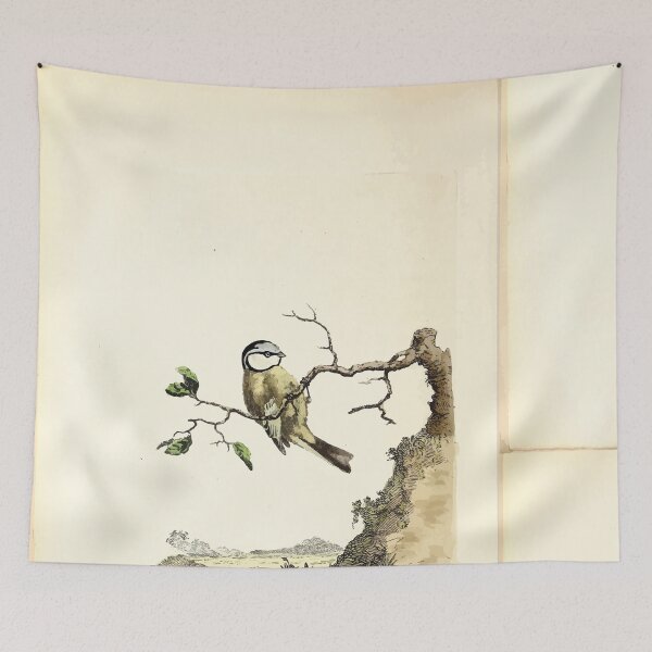Item preview, British ornithology  being the history with a coloured representation of every known species of British birds George Graves 1821 009 designed and sold by WetdryvacRB01.