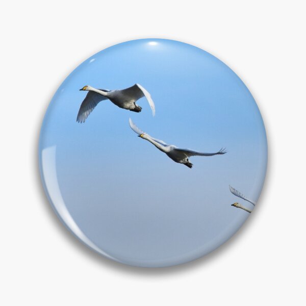 Item preview, White on blue sky. Whooper swan designed and sold by Jouko Lehto Photography.