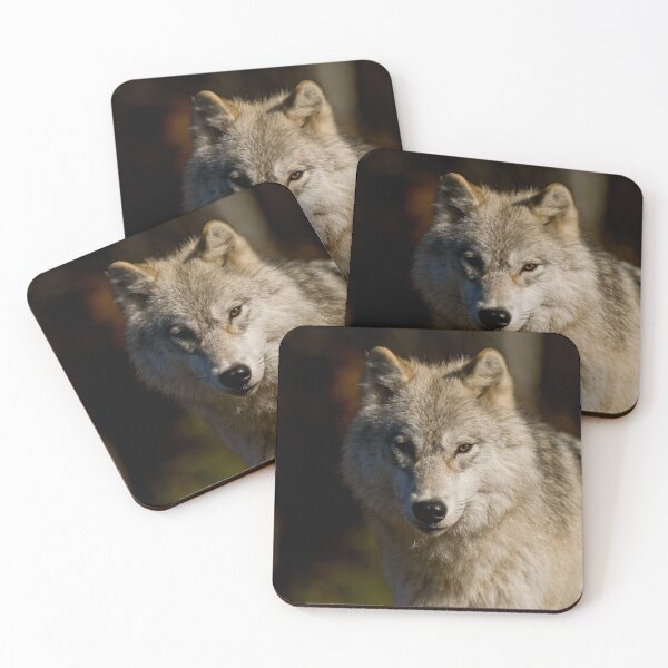 Item preview, Arctic Wolf designed and sold by WolvesOnly.