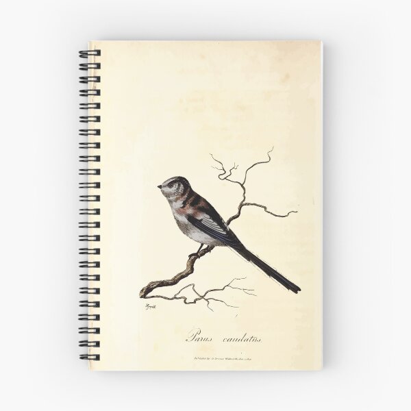 Item preview, British ornithology  being the history with a coloured representation of every known species of British birds George Graves 1821 010 designed and sold by WetdryvacRB01.