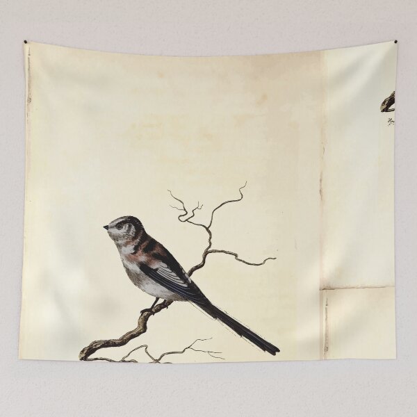 Item preview, British ornithology  being the history with a coloured representation of every known species of British birds George Graves 1821 010 designed and sold by WetdryvacRB01.