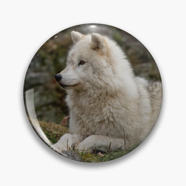 Item preview, Arctic Wolves designed and sold by WolvesOnly.