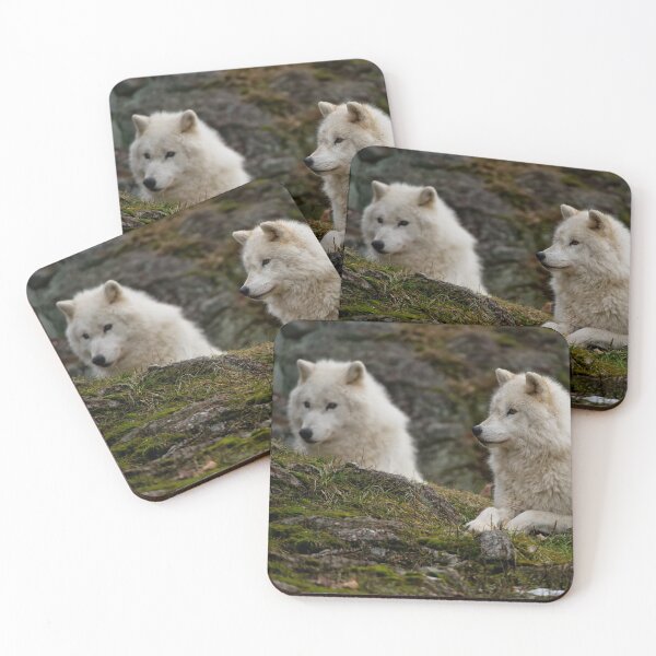 Item preview, Arctic Wolves designed and sold by WolvesOnly.