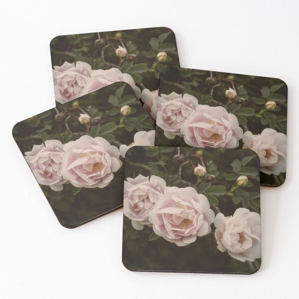 Item preview, Roses in powder color designed and sold by Amalus-files.