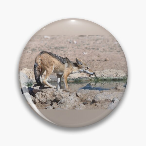 Artikelvorschau, Blackbacked Jackal an einem Wasserloch entworfen und verkauft von DWeyers.