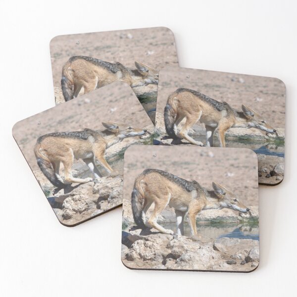 Item preview, Blackbacked Jackal at a waterhole designed and sold by DWeyers.