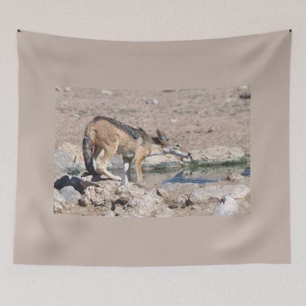 Item preview, Blackbacked Jackal at a waterhole designed and sold by DWeyers.