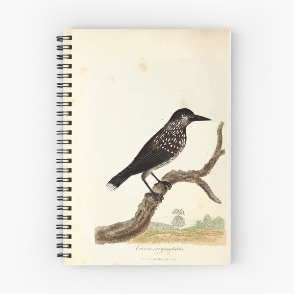 Item preview, British ornithology  being the history with a coloured representation of every known species of British birds George Graves 1821 012 designed and sold by WetdryvacRB01.