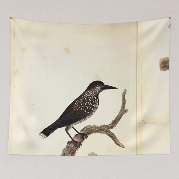 Item preview, British ornithology  being the history with a coloured representation of every known species of British birds George Graves 1821 012 designed and sold by WetdryvacRB01.