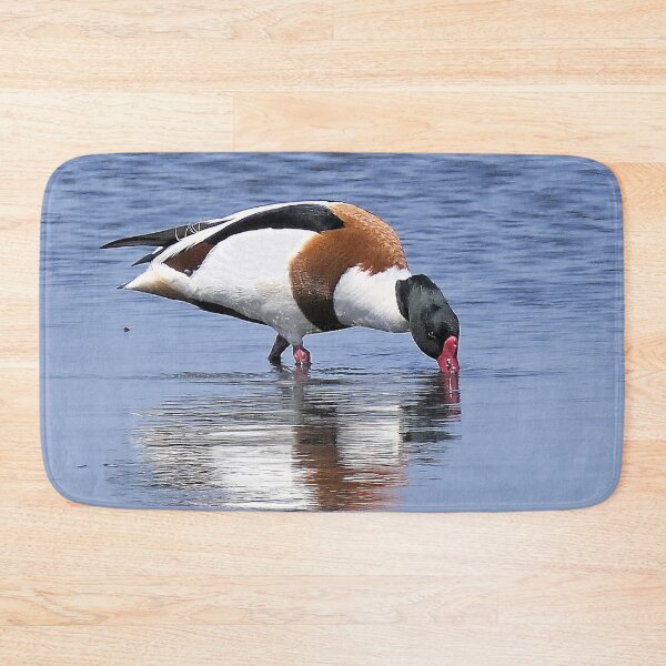 Item preview, r2434/ ornithologique-du-teich  Canard souché  2018 par Okaio Créations - Olavia-Olao     designed and sold by o.okaïo.