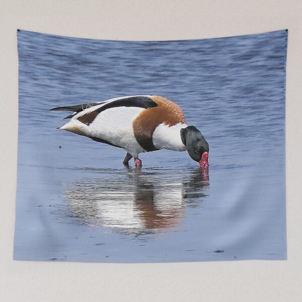 Item preview, r2434/ ornithologique-du-teich  Canard souché  2018 par Okaio Créations - Olavia-Olao     designed and sold by o.okaïo.
