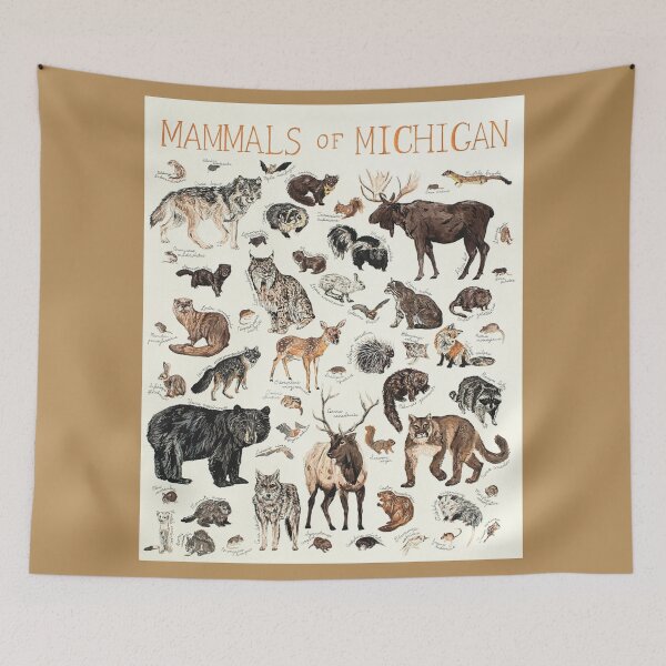 Item preview, Mammals of Michigan designed and sold by Brielle Jaglowski.