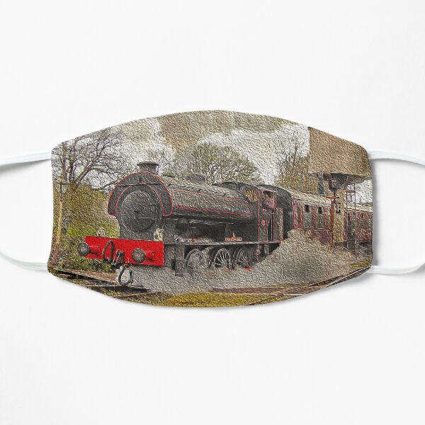 Winter steam Flat Mask