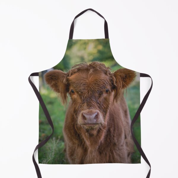 Item preview, Close Up of a Baby Highland Cow in a Field in Scotland designed and sold by marthadoom.