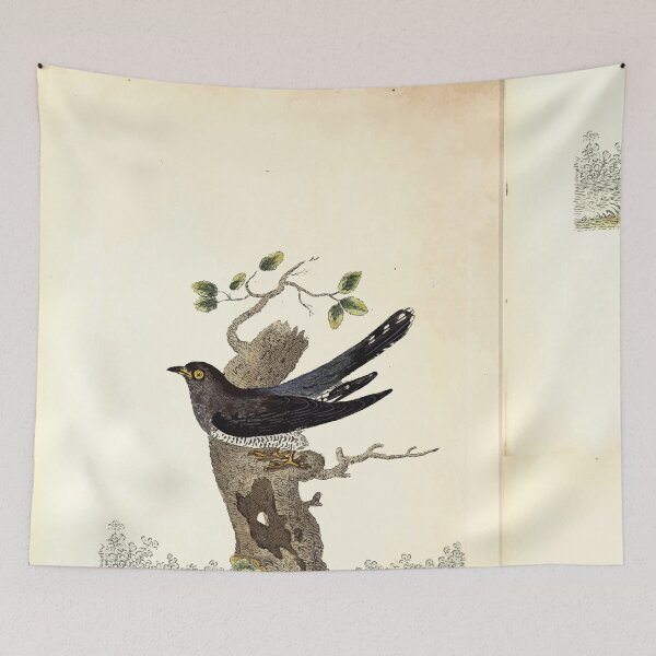 Item preview, British ornithology  being the history with a coloured representation of every known species of British birds George Graves 1821 013 designed and sold by WetdryvacRB01.
