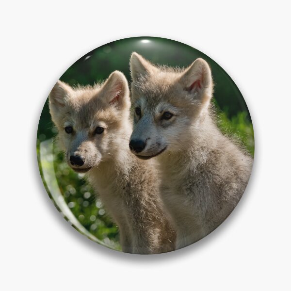 Item preview, Arctic Wolf Pups designed and sold by WolvesOnly.
