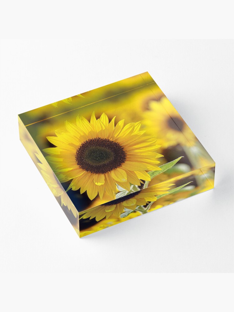 Alternate view of Sunflower Acrylic Block