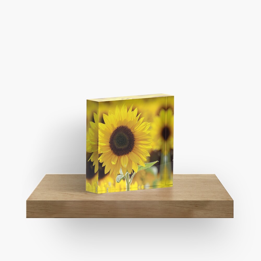 Sunflower Acrylic Block