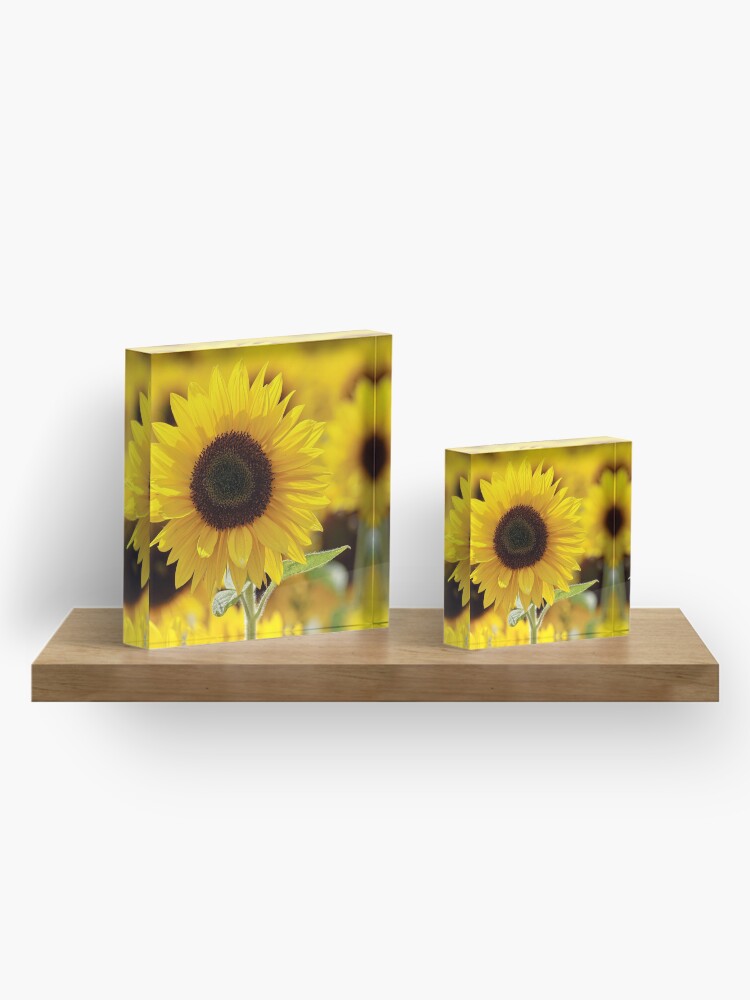 Alternate view of Sunflower Acrylic Block