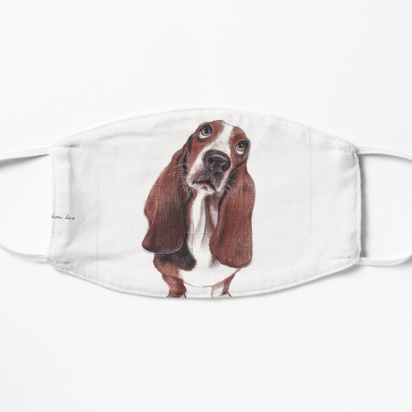 Beautiful Basset Hound Looking for a Forever Home Small Mask