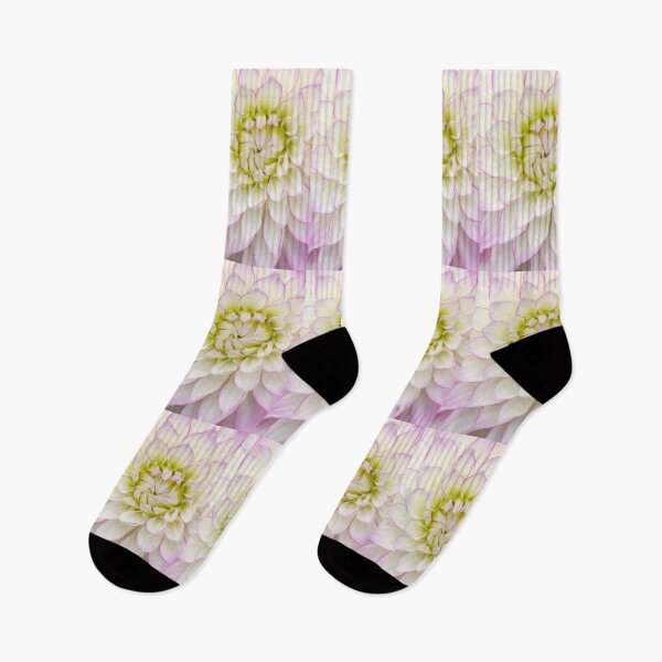 Item preview, Dahlia pink edge. designed and sold by John Ray.