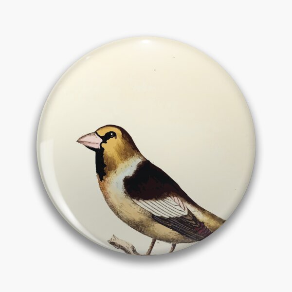 Item preview, British ornithology  being the history with a coloured representation of every known species of British birds George Graves 1821 015 designed and sold by WetdryvacRB01.