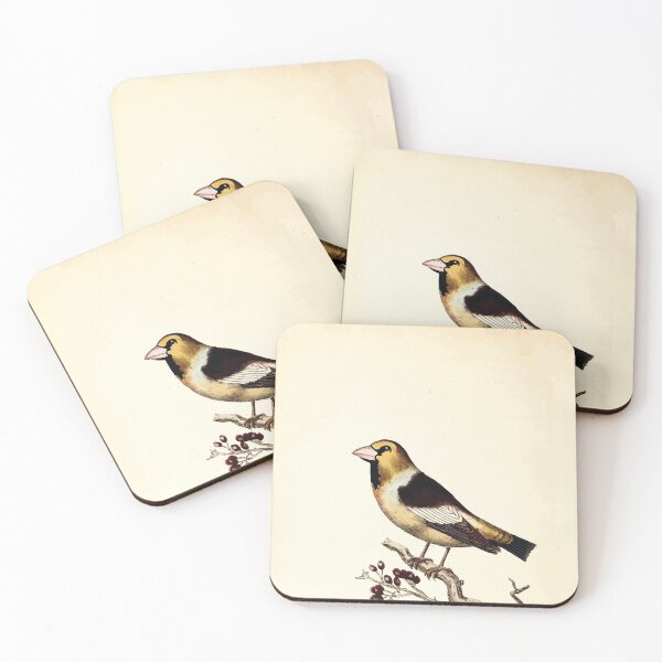 Item preview, British ornithology  being the history with a coloured representation of every known species of British birds George Graves 1821 015 designed and sold by WetdryvacRB01.
