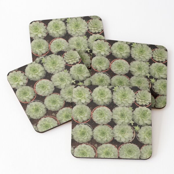 Item preview, Pattern of small green succulents designed and sold by luisraultg.