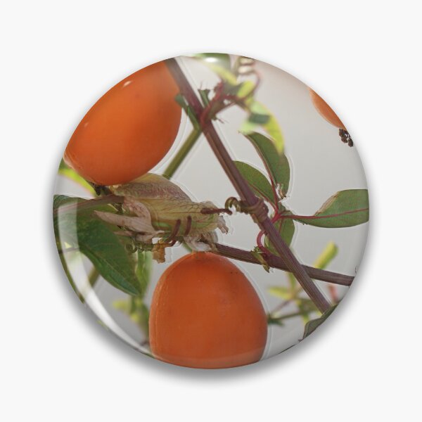 Item preview, Noughts and crosses. designed and sold by Paul Pasco.