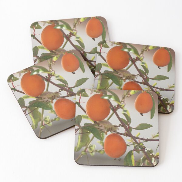 Item preview, Noughts and crosses. designed and sold by Paul Pasco.