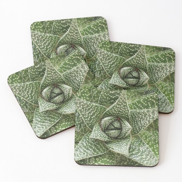 Item preview, Top view of aloe plant photo designed and sold by luisraultg.