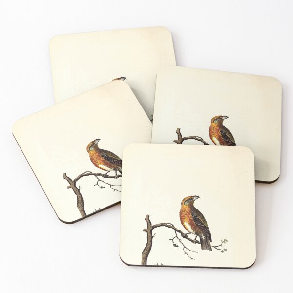 Item preview, British ornithology  being the history with a coloured representation of every known species of British birds George Graves 1821 016 designed and sold by WetdryvacRB01.