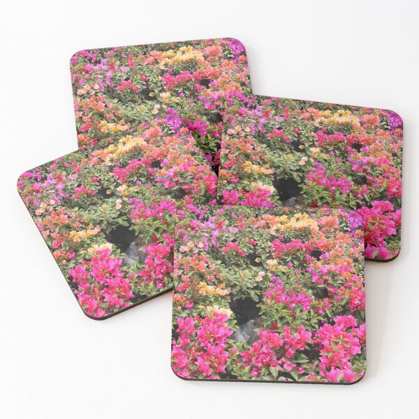 Item preview, Colorful variety of  bougainvillea flowers designed and sold by luisraultg.