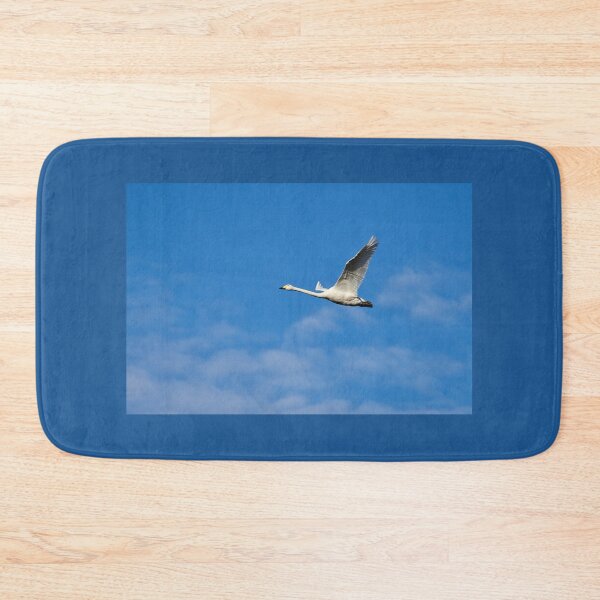 Item preview, Going solo. Whooper swan designed and sold by Jouko Lehto Photography.