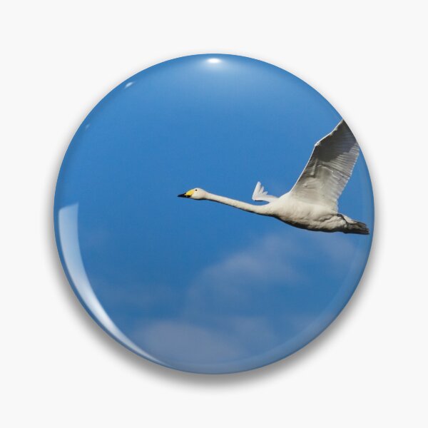Item preview, Going solo. Whooper swan designed and sold by Jouko Lehto Photography.