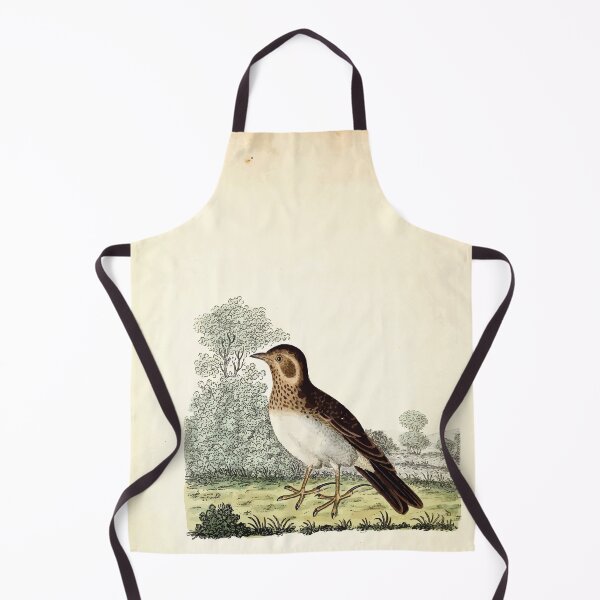 Item preview, British ornithology  being the history with a coloured representation of every known species of British birds George Graves 1821 019 designed and sold by WetdryvacRB01.