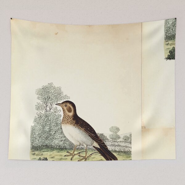 Item preview, British ornithology  being the history with a coloured representation of every known species of British birds George Graves 1821 019 designed and sold by WetdryvacRB01.