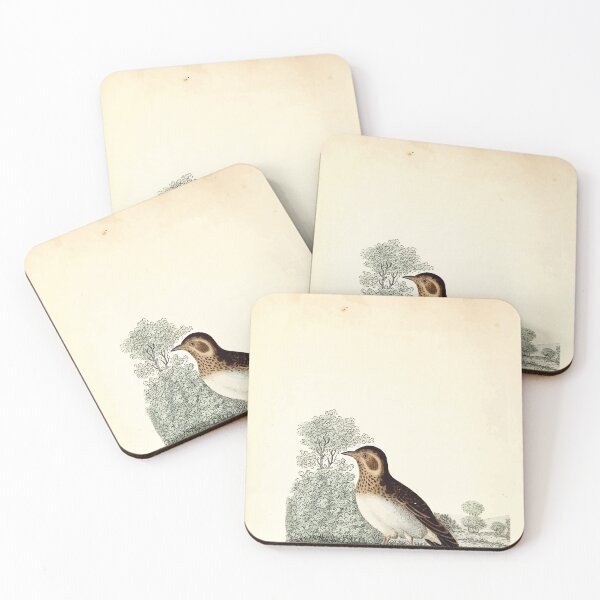 Item preview, British ornithology  being the history with a coloured representation of every known species of British birds George Graves 1821 019 designed and sold by WetdryvacRB01.