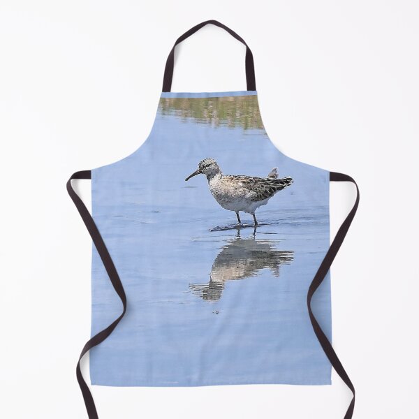 Item preview, r2435/ ornithologique-du-teich  Chevalier grivelé  2018 par Okaio Créations - Olavia-Olao     designed and sold by o.okaïo.