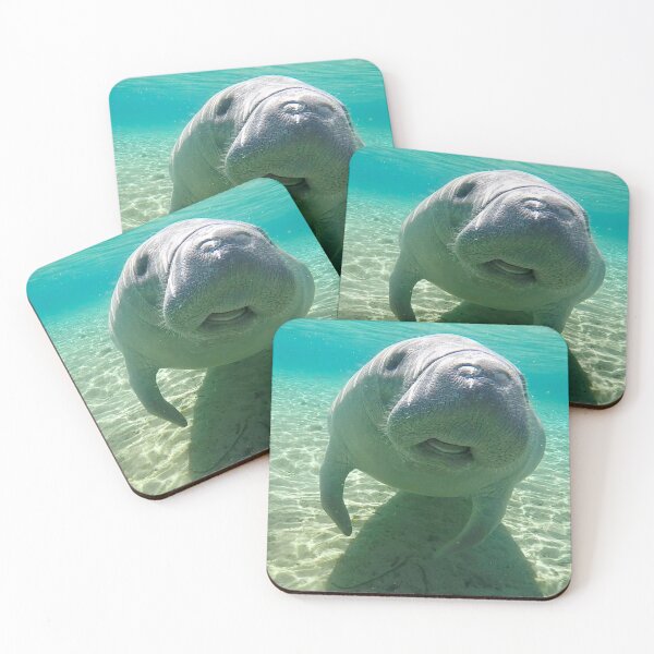 Item preview, Manatee Fun designed and sold by ChasingTheBlue.