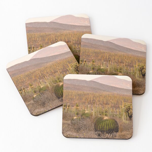 Item preview, Desert landscape with abundant cactus species designed and sold by luisraultg.