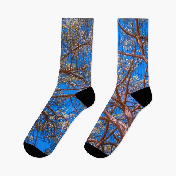 Item preview, Stone Pine Canopy designed and sold by Steven Jodoin.