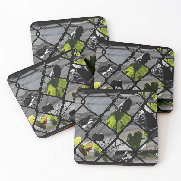 Item preview, Two Sides designed and sold by photosbyhannah.