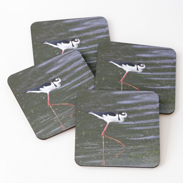 Item preview, Black-necked Stilt walking over a lake in northeastern Brazil. designed and sold by Rafael  Cerqueira.