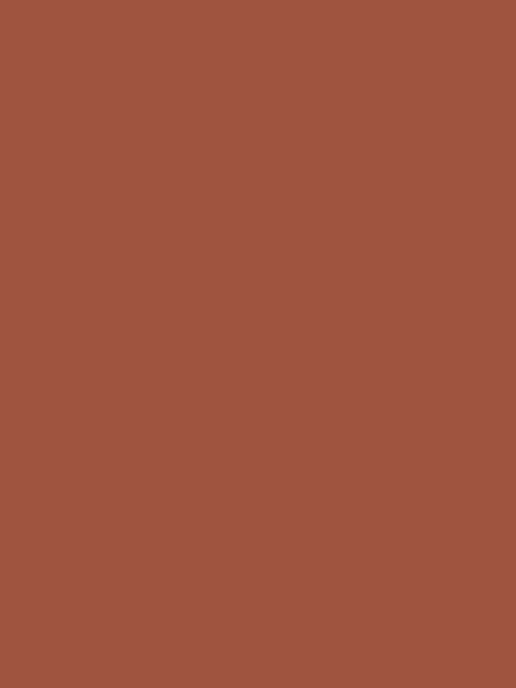 Red Clay Brown Solid Color Behr's 2021 Trending Color Kalahari Sunset MQ1-25 Single Shade - Hue - All Colour by SimplySolid
