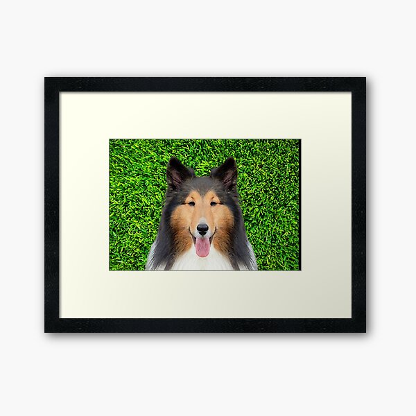 shetland sheepdog lover cute face art sheltie Framed Art Print
