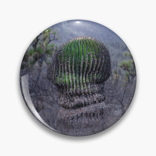 Item preview, Desert landscape with varied cactuses designed and sold by luisraultg.