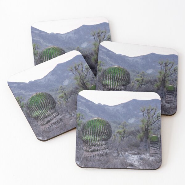 Item preview, Desert landscape with varied cactuses designed and sold by luisraultg.