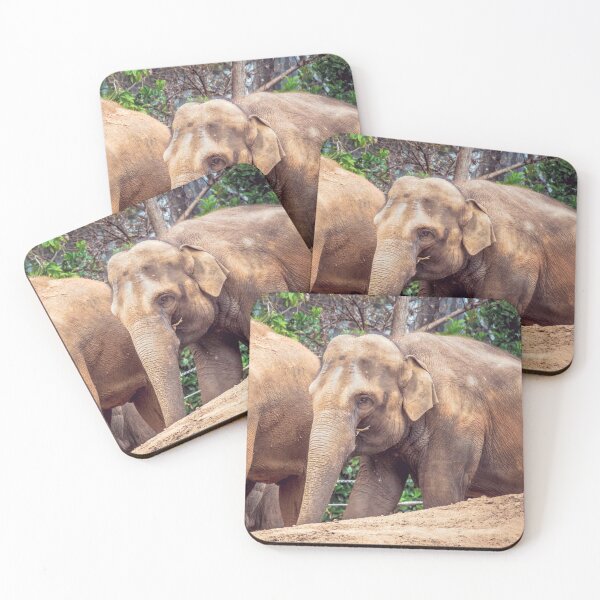 Item preview, Dirty Brown Elephants designed and sold by Steven Jodoin.